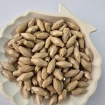 گندمی پلیمری ایرانی - نسکافه-ای