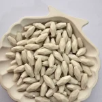 گندمی پلیمری ایرانی - استخونی