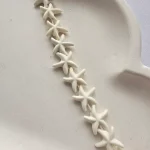 صدف - ستاره-دریایی